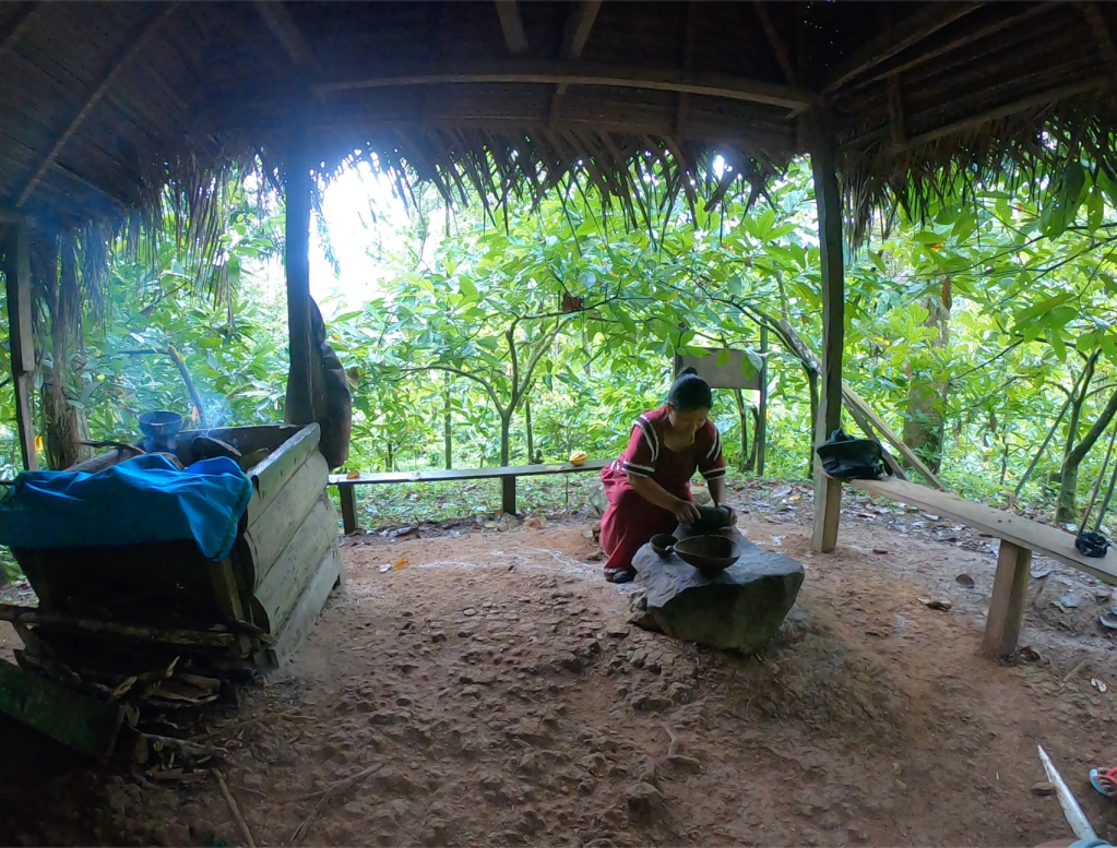 Plantación de Cacao de Oreba